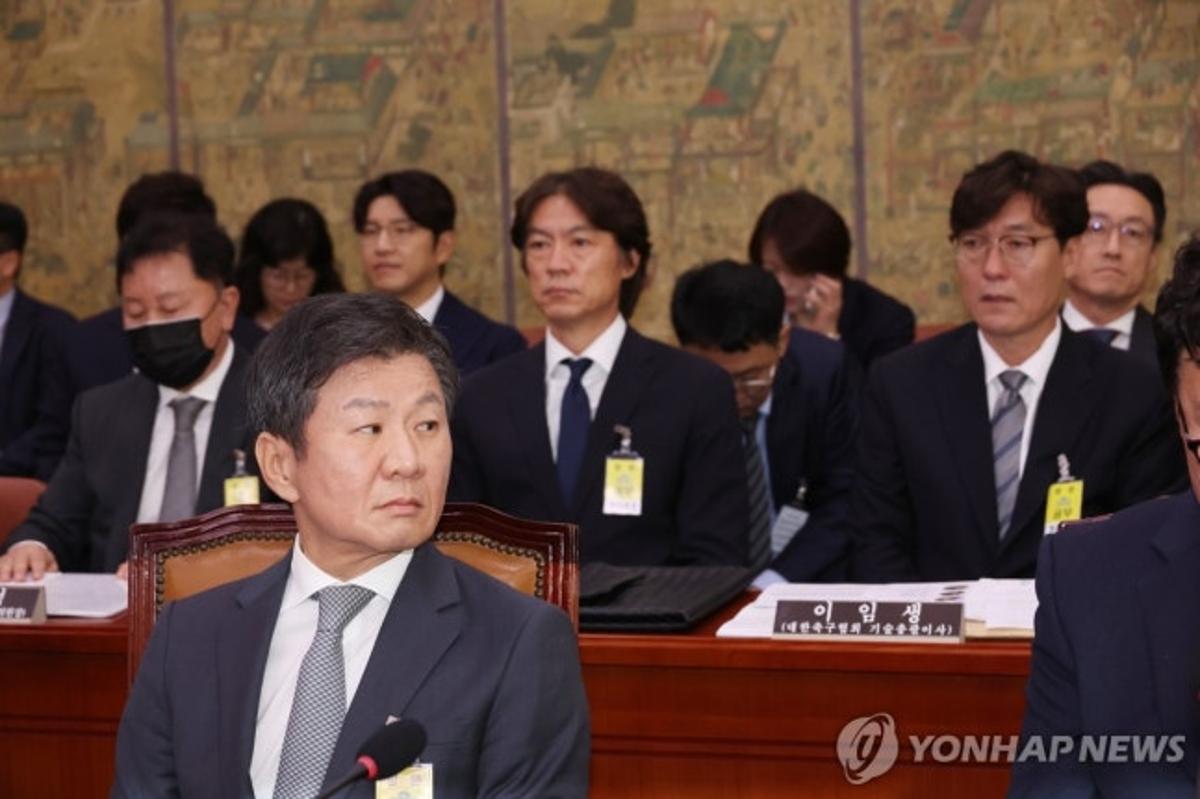 18일 미국에서 경기 뛰는 손흥민도 호출… 국회, 축구협회 청문회 22일 개최 확정