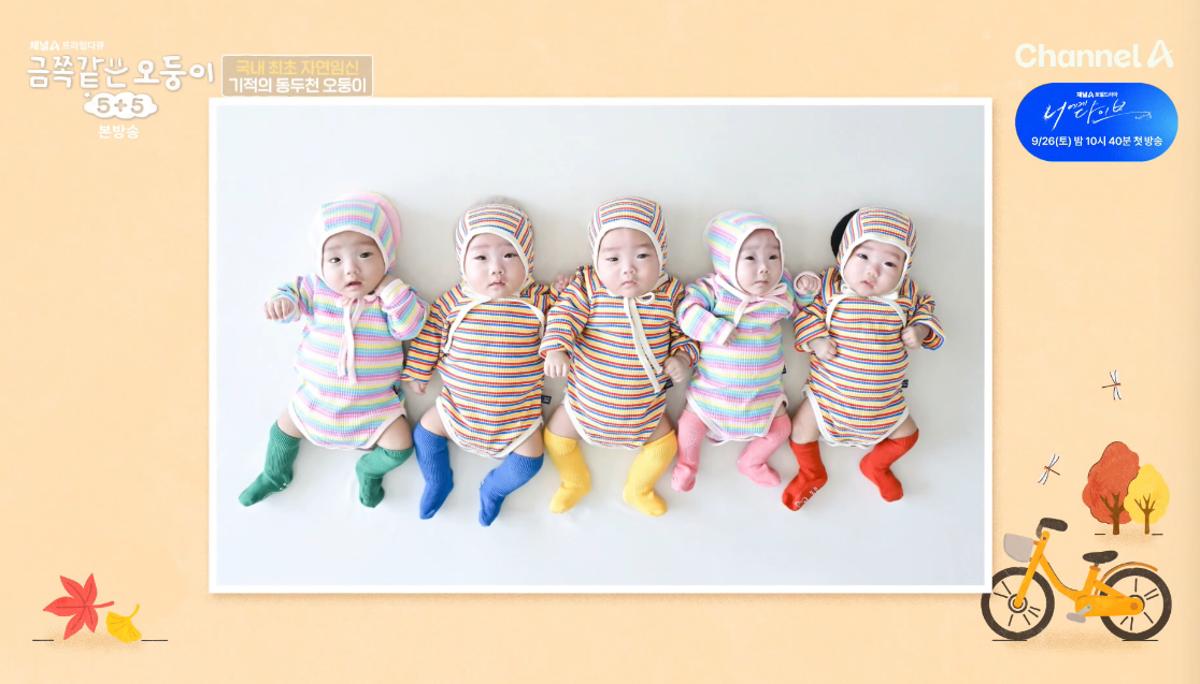 국내에 단 두 가족뿐인 <b>오둥이</b>의 만남… "손발톱만 100개 깎는다" ('금쪽...