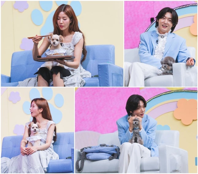 テレビ番組「自慢する犬」の収録で、愛犬を抱くクォン・ウンビと犬を抱くキム・ヨンビン。