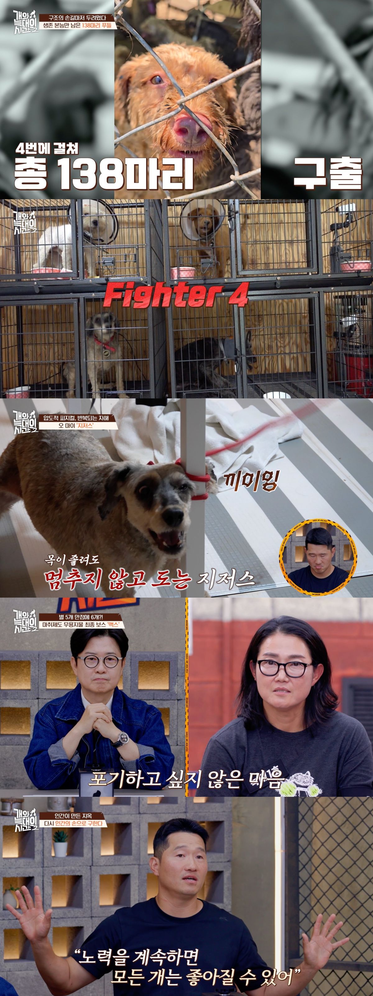 保護犬やケージにいるF4の犬たち、番組で支援にあたるカン・ヒョンウクを収めた縦長の番組写真