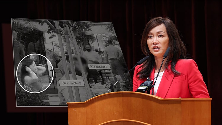 <b>외교부</b>, <b>수미 테리</b> 기고 청탁 의혹에 "기고 요청은 통상의 업무"