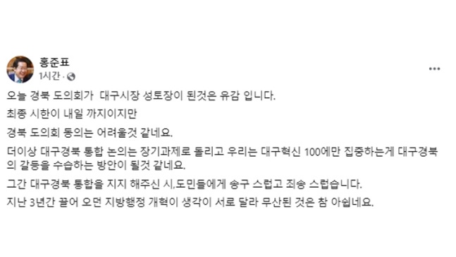 /홍준표 대구시장 SNS 캡처
