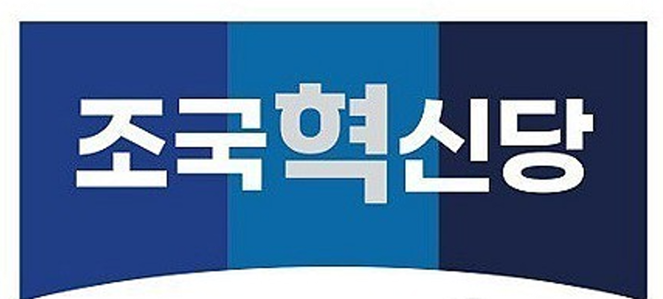 "<b>조국혁신당 간담회</b>서 <b>폭행</b> 당해"…경찰, 정당관계자 조사 착수
