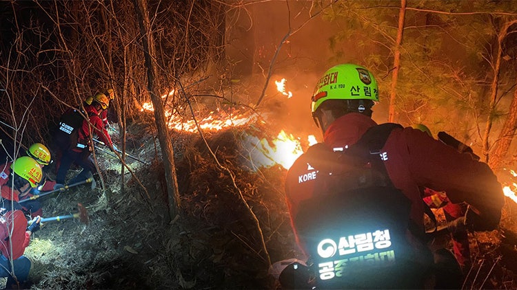 강원 <b>인제 산불</b> 대응 1단계 '<b>진화</b>율 60%'…일부 주민 대피