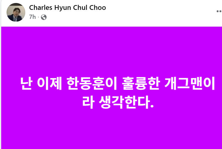 국민의힘 외신대변인 "한동훈 훌륭한 개그맨"…장동혁엔 "보수재건 상징"