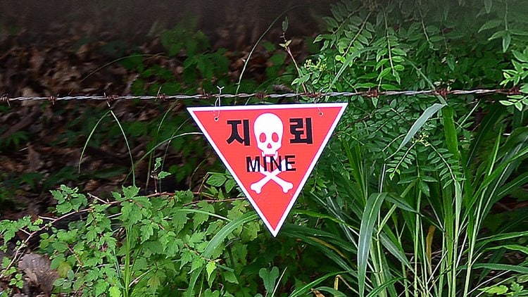 <b>DMZ</b> 지뢰 사고 공방…野 "다치니까 느그 아들", 與 "매국적 행태"