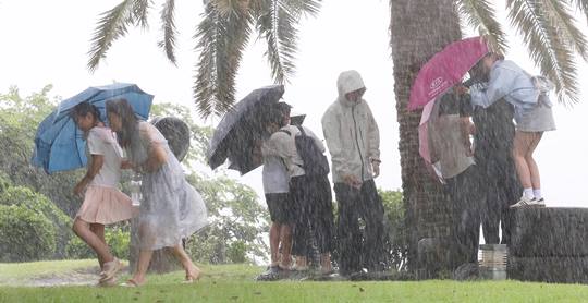 Tourists seeking shelter from the rain under palm trees near Jungmun Beach, Seogwipo City on the morning of the 20th as Typhoon 'Jongdari' heads towards Jeju. Photo=news1