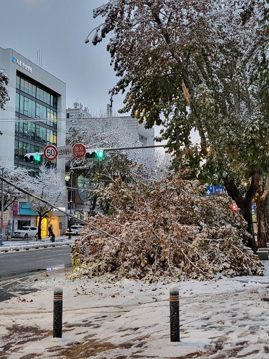 20cm <b>폭설</b>에 <b>서울 지하철</b> 1~8호선 러시아워 30분 연장