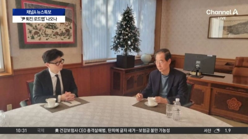 <b>한동훈</b>-<b>한덕수</b> 2차 회동…국정수습 논의