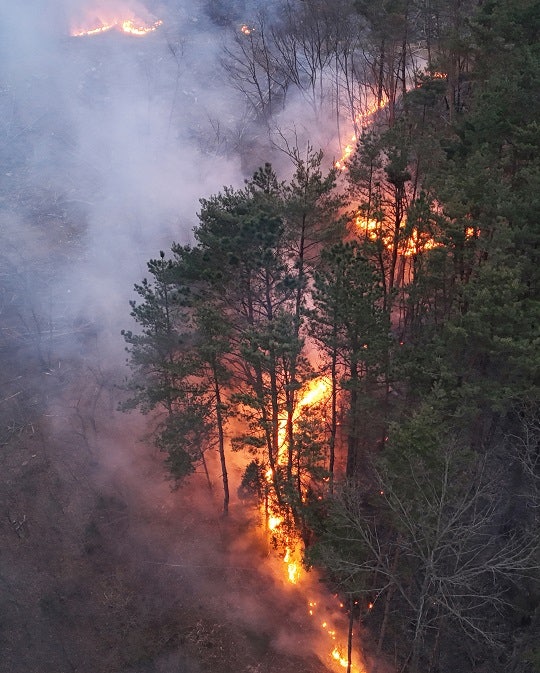 ‘축구장 1만2천여 개’ 산림 불타…진화율 60~70%