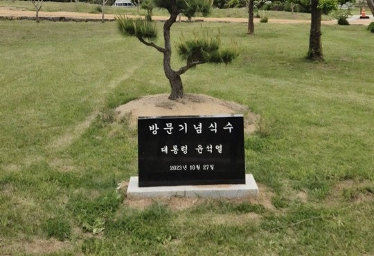 안동 병산서원서 ‘尹<b>기념식수</b> 비석’ 사라져