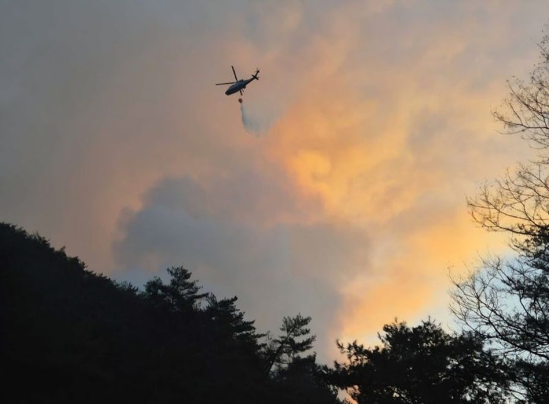 <b>강원</b> 양양 <b>산불</b> 16시간 만에 <b>진화</b>…산림 22.5ha 소실