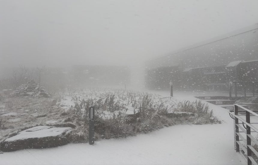 내일부터 낮에도 영하권 강추위! 모레 서울 첫눈 소식 있어 ㄷㄷ