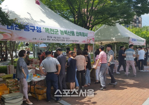 옥천스포츠 이미지