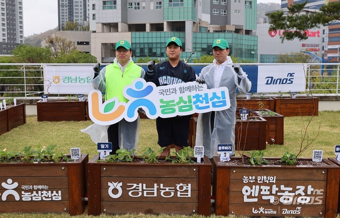 “<b>야구</b>장에 밭이?”…NC, ‘농부 민혁의 엔팍농장’으로 팬·지역 잇는다