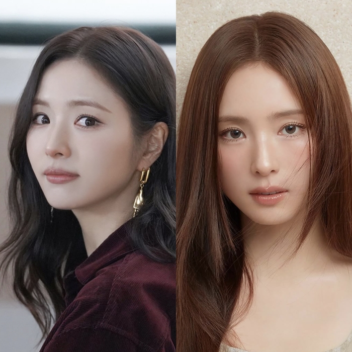 신세경, ‘400억’ 펜트하우스 있는 삼성동 초고가 빌라 매입