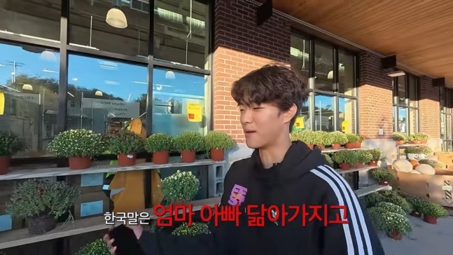 “한국말 불친절? 엄마 아빠 닮아서”…<b>권상우</b><b>손태영 아들 룩희</b>, 거침...