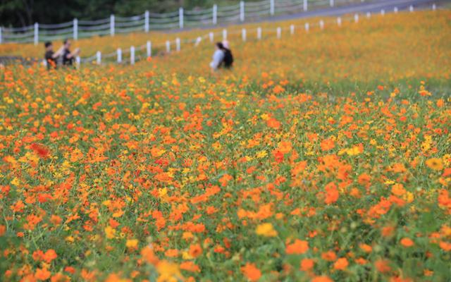 설악산은 단풍 시작... 다음주 화요일 비 온 뒤 기온 '뚝' < 문화 < 기사본문 - 한국뉴스종합 설악산은 단풍 시작... 다음주 화요일 비 온 뒤 기온 '뚝' < 문화 < 기사본문 - 한국뉴스종합