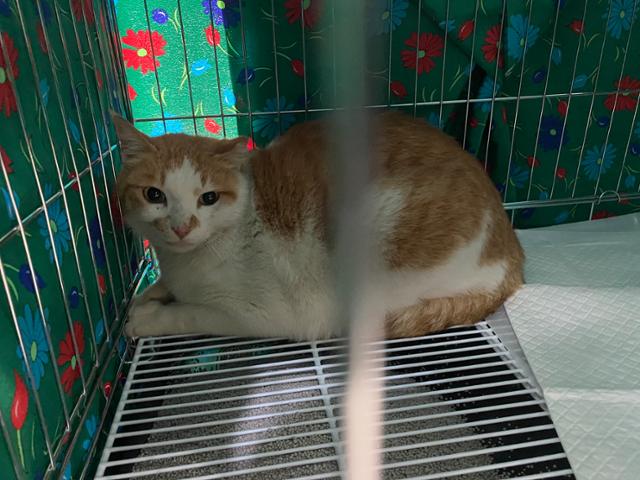 0000734756_001_20230418170001645.jpg?type=w647