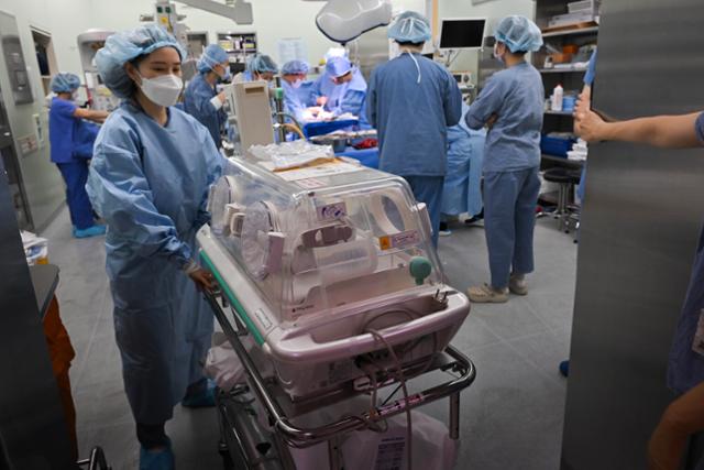 3월 14일 분당서울대병원 수술실에서 산모의 제왕절개 수술이 마무리된 뒤 신생아가 인큐베이터에 넣어져 이동하고 있다. 정다빈 기자