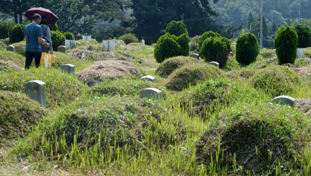 성묘객들이 조상들의 묘를 찾아 주변을 살피고 있다. 한국일보 자료사진