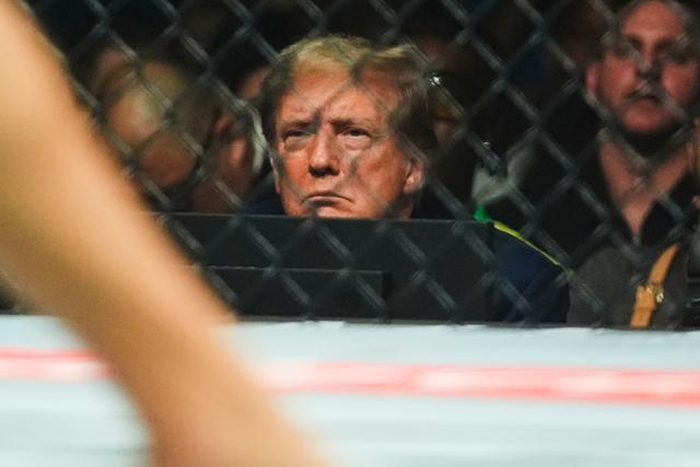 미국 공화당 대선 후보인 도널드 트럼프(가운데) 전 대통령이 1일 종합 격투기 대회 ‘UFC 302’가 열린 뉴저지주 뉴어크를 찾아 경기를 지켜보고 있다. 뉴어크=AP 연합뉴스