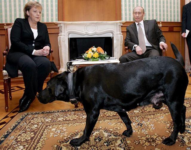 과거 개에 물려 개 공포증이 있는 것으로 알려진 앙겔라 메르켈(왼쪽) 독일 총리가 지난 2007년 러시아 소치에서 열린 독러간 정상회담에서 블라디미르 푸틴 러시아 대통령이 회담장에 데리고 나온 자신의 반려견 코니를 