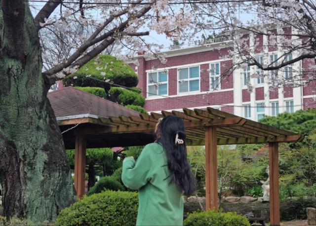 올해 봄 칸(가명·18)이 교정에 핀 벚꽃 나무 아래서 포즈를 취하고 있다. 독자 제공