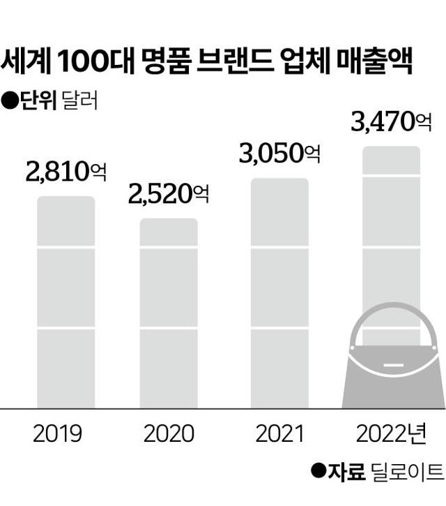 2019~2022년 세계 100대 명품 업체의 매출액. 그래픽=이지원 기자
