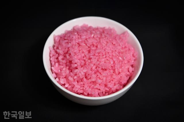 홍진기 연세대 화공생명공학과 교수 연구진이 개발한 '소고기 쌀'. 쌀 안에 소 줄기세포를 넣고 배양했다. 세포를 기르는 데 쓰는 배양액이 붉은색이라 쌀 역시 붉은색을 띤다. 일반 쌀보다 단백질이 8%, 지방이 7% 