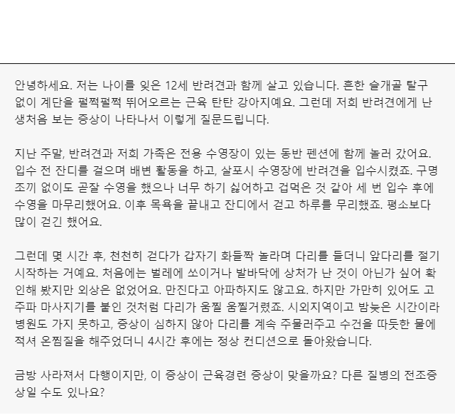 갑작스러운 <b>강아지</b> 다리 떨림… 원인과 응급 처치 방법