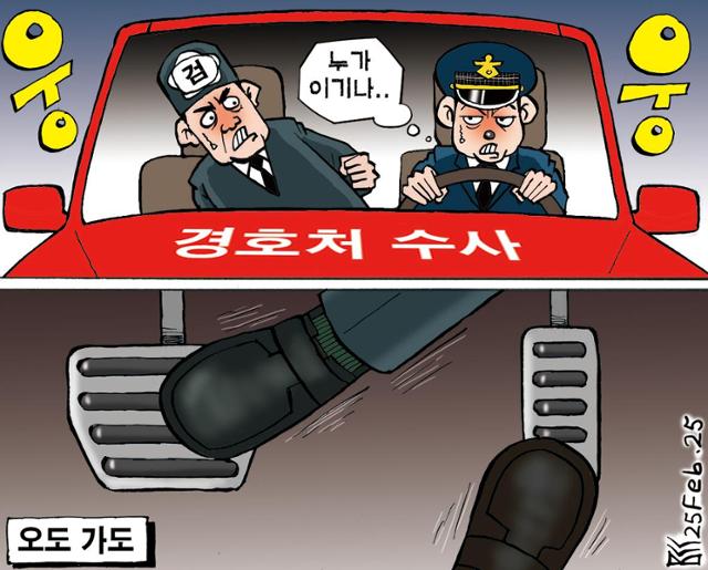 2월25일자 만평