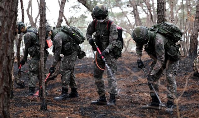 '대형 <b>산불</b>' <b>경북</b> 5개 시군 주불 <b>진화 완료</b>... 발생 149시간만