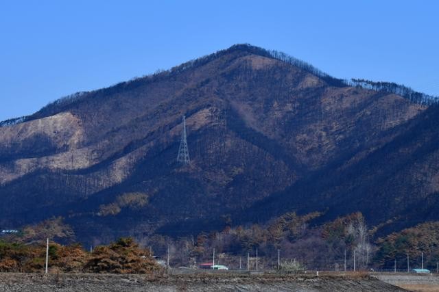 불이 지나간 자리 [달곰한 우리말]