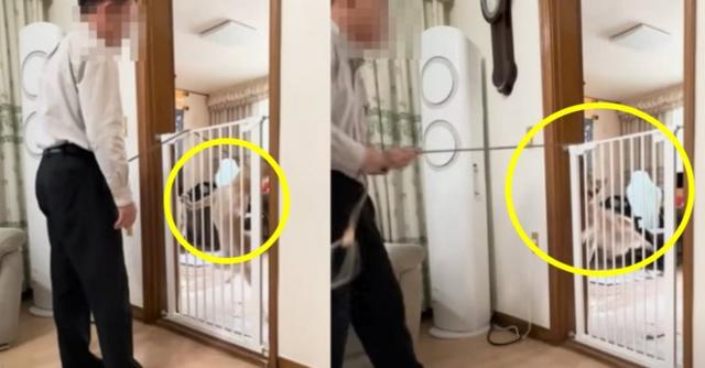 지난해 10월 반려견 훈련사 A씨의 유튜브 채널에 게시된 영상의 일부. 국회 국민동의 청원에 A씨의 행동이 동물학대라고 주장하는 게시글이 올라왔다. 국회 국민동의 청원 캡처