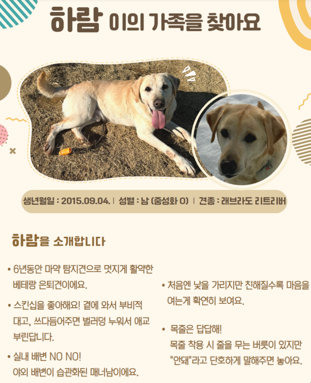 민간분양 대상인 은퇴 마약탐지견 하람이.관세청 관세인재개발원