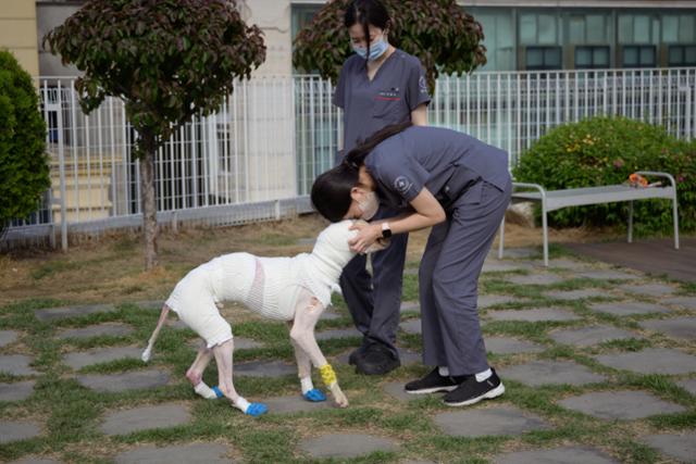 지난 2일 서울 강남구 VIP동물의료센터 옥상 정원에서 진희정 피부과장이 대풍이와 산책을 하고 있다.