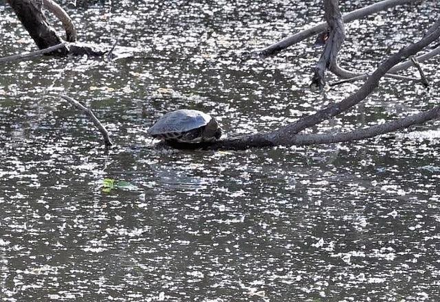[왕태석의 빛으로 쓴 편지] 하얀 잔상, 그리고 5월의 기억