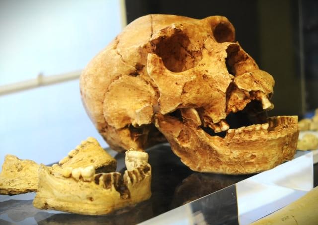 스페인 아타푸에르카, 유럽 인류 역사를 바꾸다 [배기동의 고고학 기행]