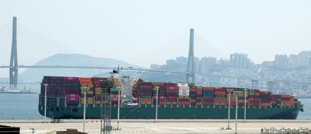 지난 10일 오전 부산 강서구 부산신항에 입항한 몰타 국적 컨테이너선에서 코카인 약 720㎏이 적발됐다.코카인이 발견된 것으로 추정되는 컨테이너선이 12일 부산 북항의 한 부두에 접안해 있다.부산=뉴시스