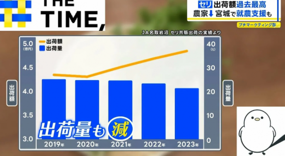 일본 TBS방송이 공개한 2019~2023년 일본 내 미나리 출하액(노란색 선 그래프)과 출하량 (파란색 막대 그래프) 통계. TBS 방송 화면 캡처