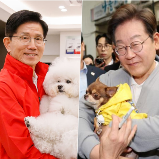김문수 국민의힘 대통령후보가 13일 동물병원을 방문해 반려견을 안고 사진 촬영을 하고 있다.(왼쪽) 이재명 더불어민주당 대통령후보가 11일 전남 강진군 강진오감통시장을 찾아 한 지지자의 반려견을 품에 안고 인사하고 