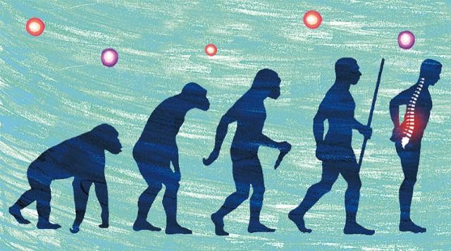 '허리 디스크', 아주 옛날엔 돼지 똥이 약이었다 [의사와 함께 펼쳐보는 의학의 역사]