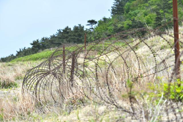 군사구역 진입을 막는 철조망. 해당 지역은 기사 내용과 무관함. 최주연 기자 juicy@hankookilbo.com