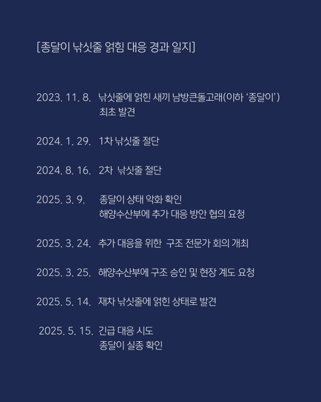 종달이 구조 일지. 제주 돌고래 긴급 구조단 제공
