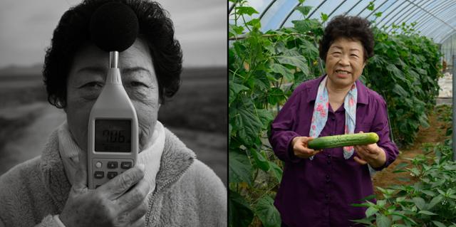 당산리 주민 조경자씨는 7개월 만에 다시 만난 기자에게 직접 농사 지은 오이와 감자를 내밀었다. 조씨는 "요즘은 검은콩, 메주콩, 파란콩, 들깨 심느라 바쁜 철이다"라며 "요란했던 세월을 생각하면 가끔 머리가 지끈거