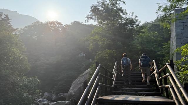 그늘 뚫는 불볕 더위, 산도 '안전지대' 아냐… "한낮 등산 자제"