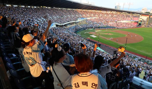 역대급 순위 싸움에 흥행도 '초대박'...사상 1200만 관중도 보인다