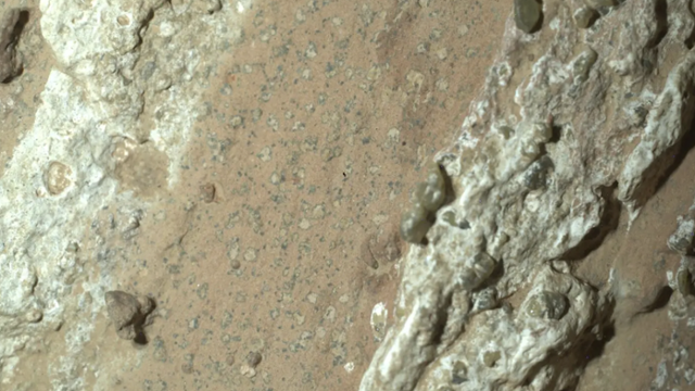 미국 항공우주국(NASA)의 무인탐사로버