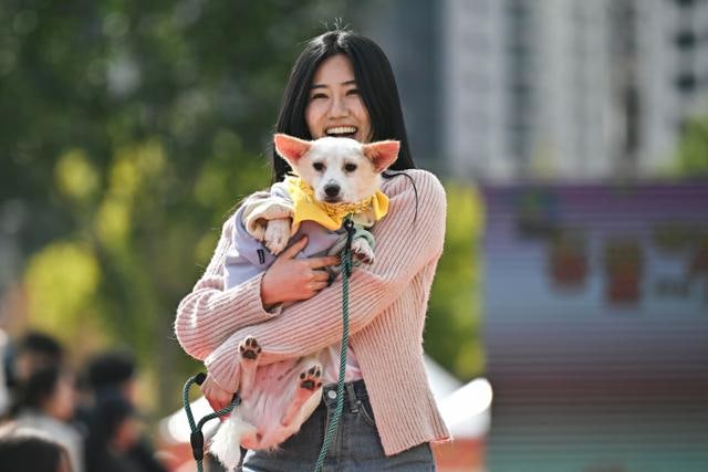 "댕댕이와 행복하개!" 제2회 동행페스타, 건전한 반려문화 알렸다
